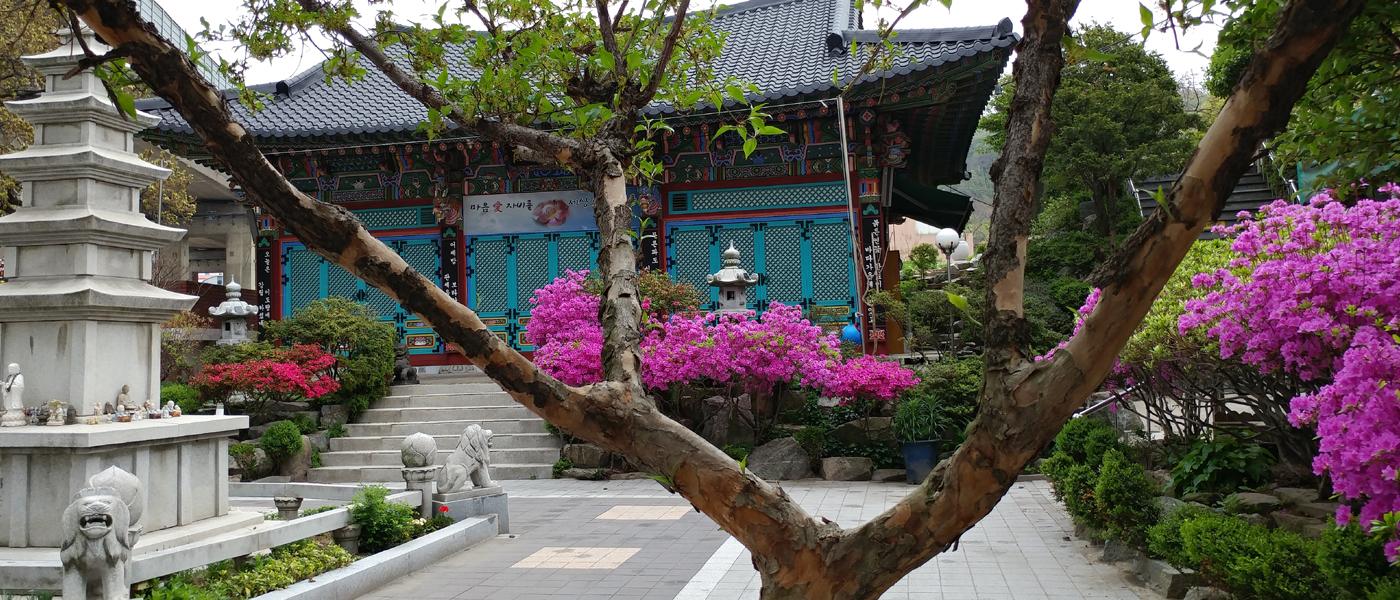 사리박물관 2