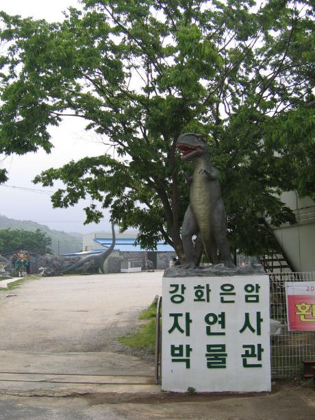 강화은암자연사박물관 5