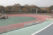 인천시립로울러스케이트장