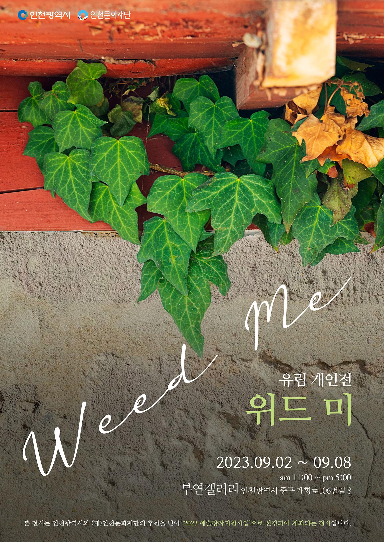 썸네일이미지